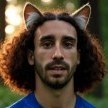 CucurellatheCat